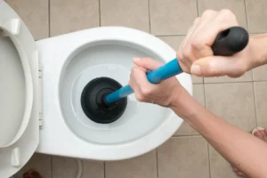 Забися унітаз: що робити та як швидко відновити злив