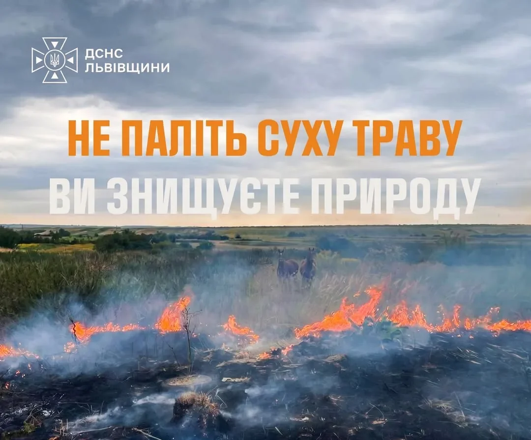 Палаюча суха трава на полі з димом і двома тваринами під хмарним небом