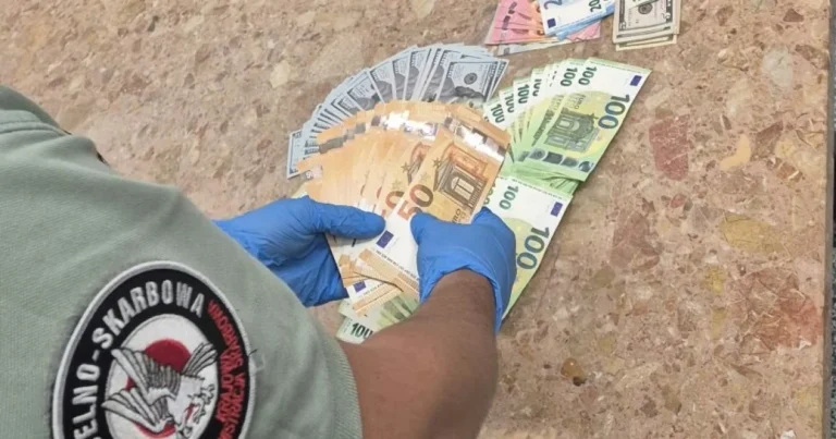 Українці везли поїздом через кордон майже 3 млн грн у валюті