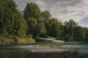 Мілка річка з широким гальковим берегом і деревами під хмарним небом