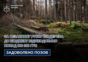 Хто сплатив понад 900 тисяч за рубку біля Великополя?