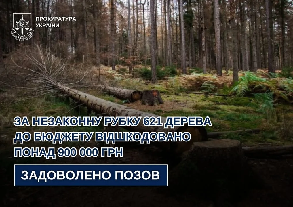Хвойний ліс із поваленими стовбурами, пнями та мохом після вирубки